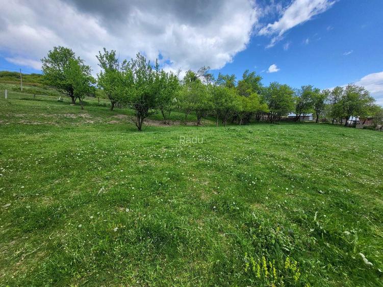 Teren intravilan 2500 mp + casa + anexe, CF 62707 Dej (Pintic nr. 223) 32.000 Euro Neg.