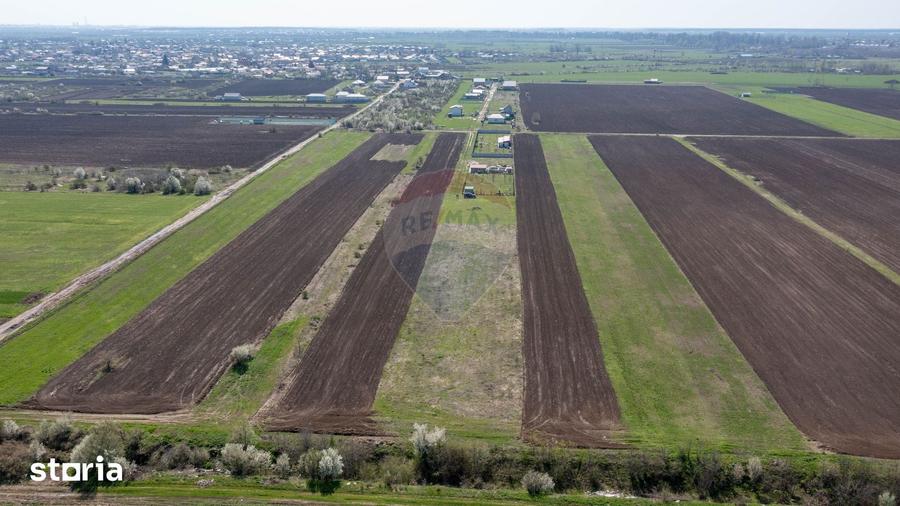 Teren de 500 mp, în Săbăreni