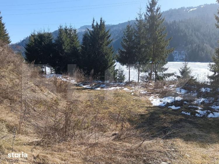 Teren intravilan de vanzare 3100 mp Colibita, front lac 70 - 4