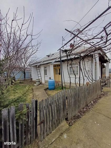 Casă cu 3 camere cu Teren 5000 Mp în Central