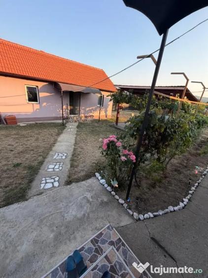 Casă cu 3 camere cu Teren 2330 Mp în Central