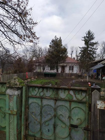 Teren de 3200 mp, în Urlueni