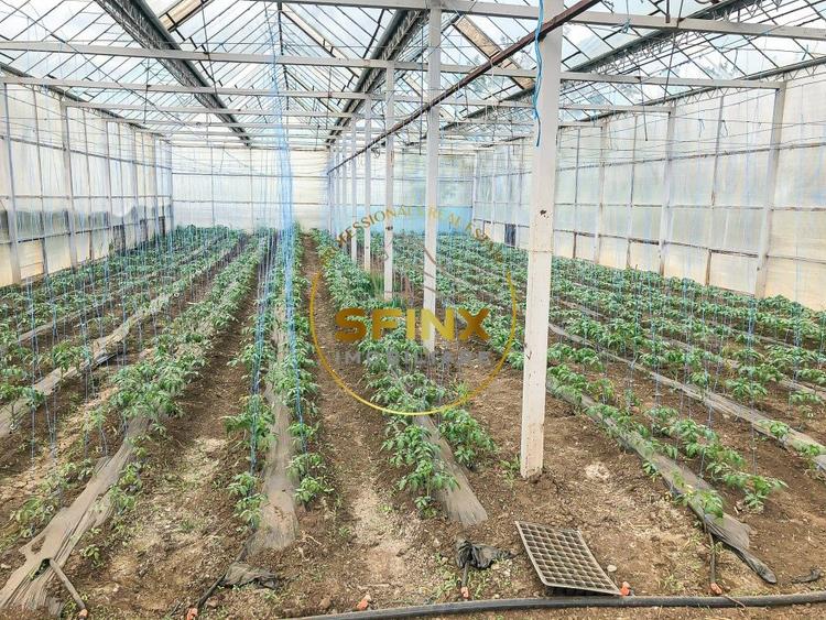 Spațiu industrial, de 1,111 mp, în Fântâna Doamnei