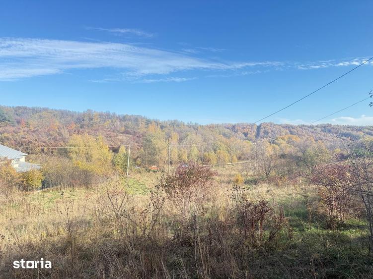 Teren de 1984 mp, în Răzvad