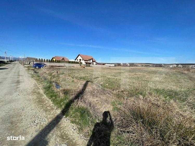 Spațiu comercial, în Preajba Mare