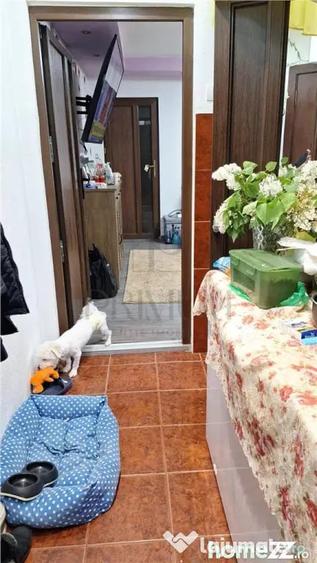 Apartament cu 2 camere semidecomandat în Șagului
