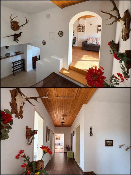 Casă cu 4 camere cu Teren 2877 Mp în Gărâna