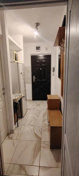 Apartament cu 2 camere semidecomandat, mobilat în Șagului