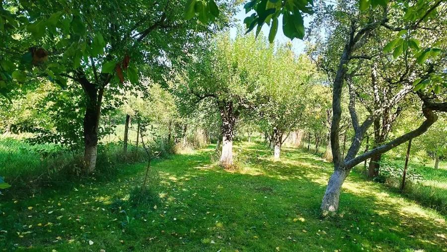 Casă cu 4 camere în Coman