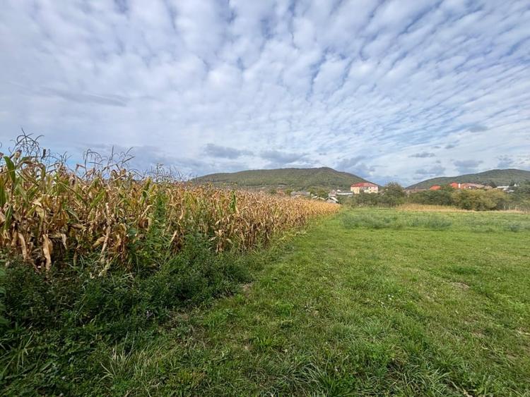 Teren Construcții intravilan de 2500 mp, în Șieu-Măgheruș