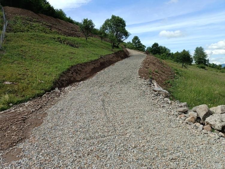 Teren Construcții intravilan de 10000 mp, în Bistrița Bârgăului