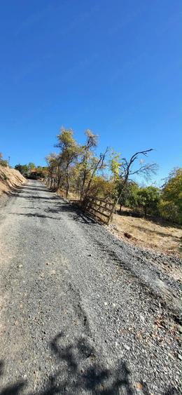 Teren de 1002 mp, în Bătrâna