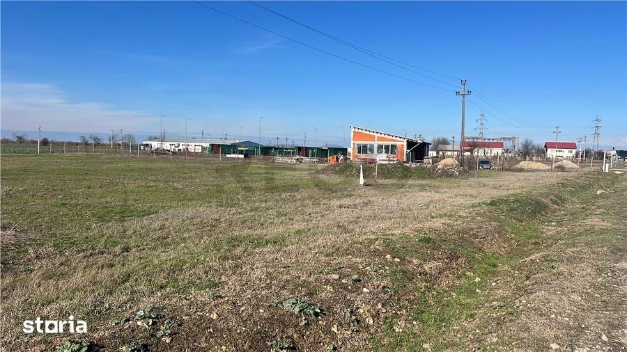 Teren de 5000 mp, în Sântandrei