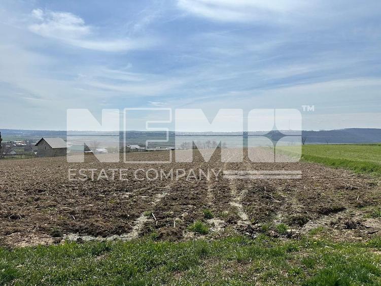 Teren de 3900 mp, în Pătrăuți
