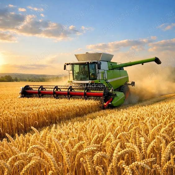 Oferta vinzare teren agricol extravilan