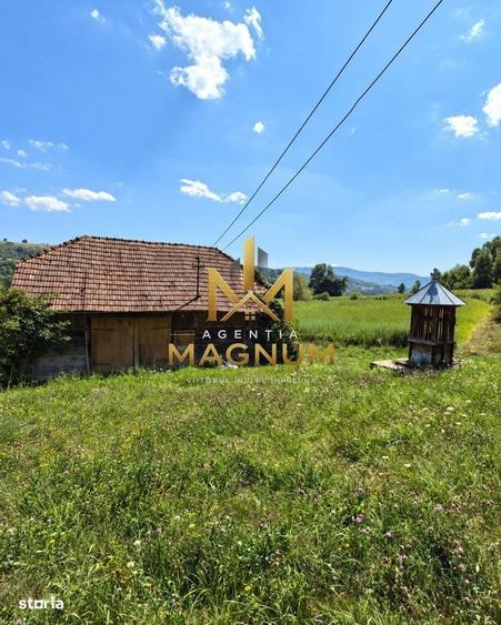 Casă cu 2 camere în Berința