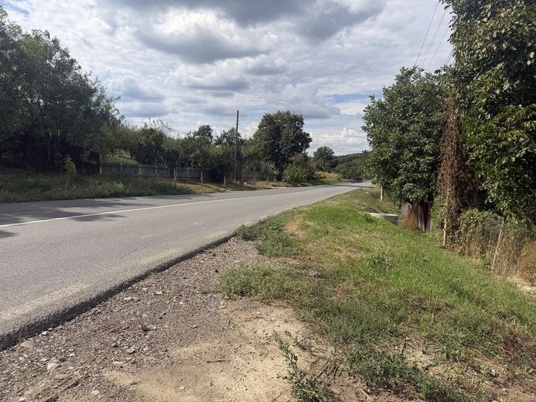 Spațiu comercial, în Osoi