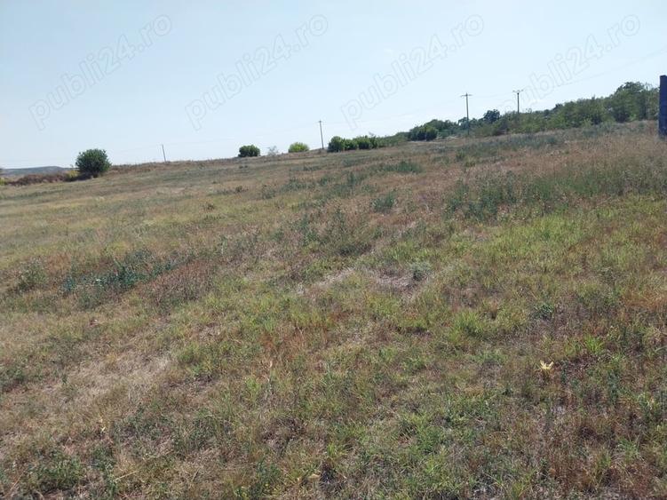 Teren de 15000 mp, în Central