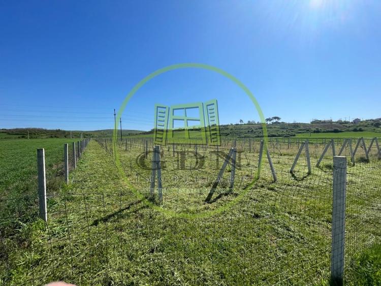 Teren agricol intravilan de 6215 mp, în Răcarii de Jos
