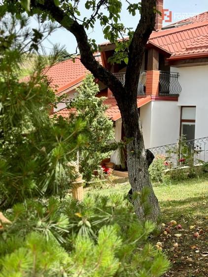 Casă individuală cu 5 camere cu Piscina în Ghioroc