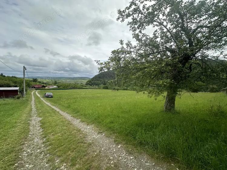 Teren de 2000 mp, în Fântânele