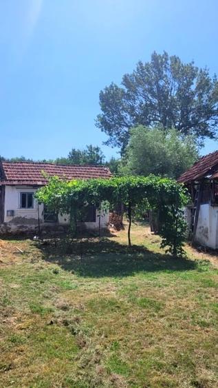 Teren Construcții intravilan de 1900 mp, în Fârtățești