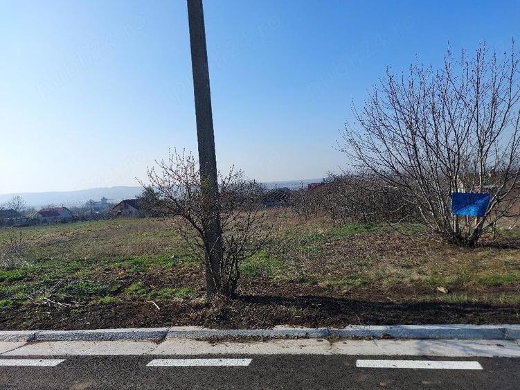 Teren de 3300 mp, în Țigănași