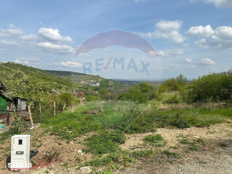 Teren de 1661 mp, în Podgoria