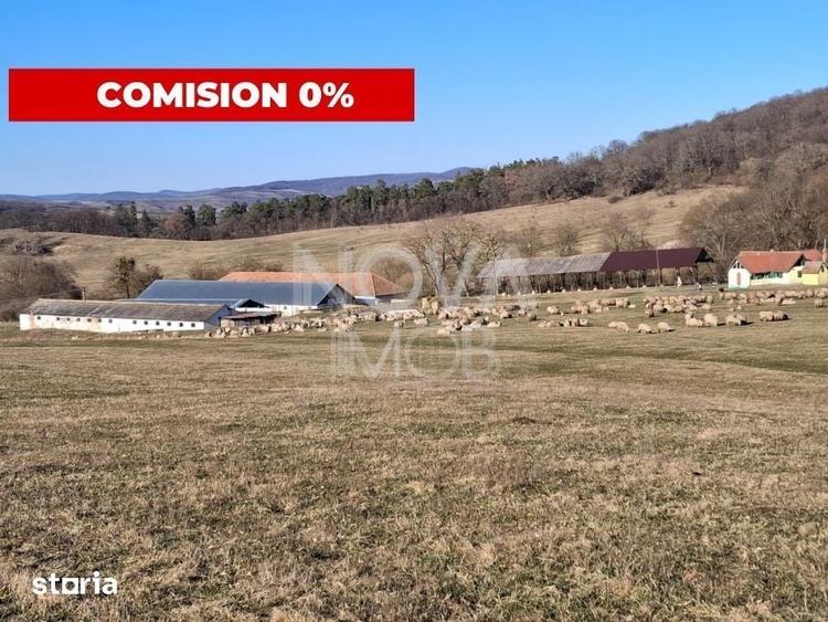 Casă cu 5 camere cu Teren 22852 Mp în Central