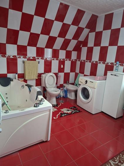 Casă cu 3 camere în Beba Veche