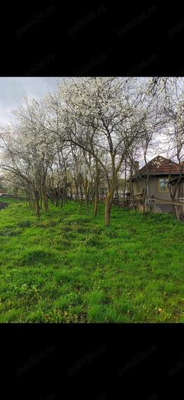 Casă cu 3 camere cu Teren 18000 Mp în Sâmboleni