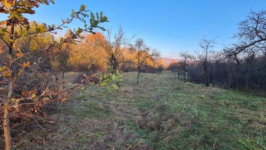 Teren de 8800 mp, în Băiculești