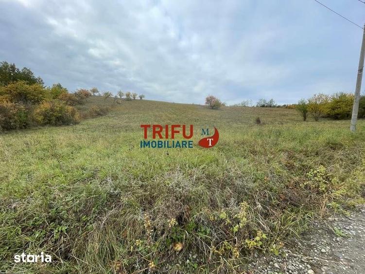 Teren de 4166 mp, în Cetate
