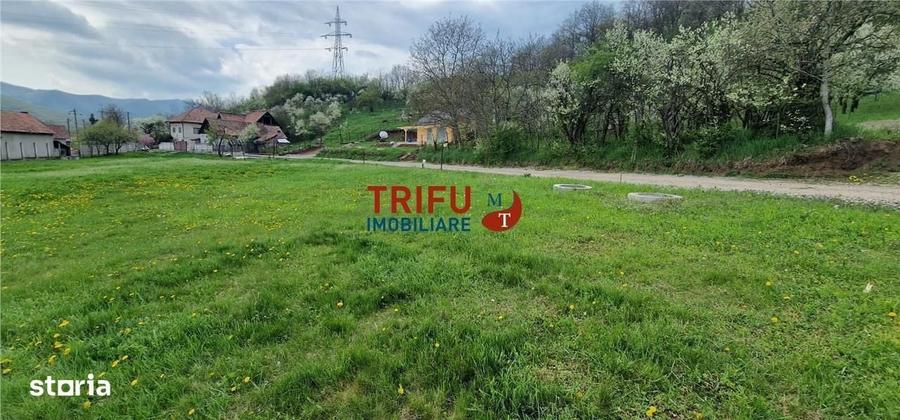 Spațiu comercial, în Ampoița