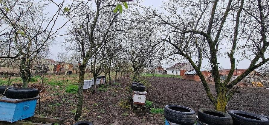 Casă cu Teren 3000 Mp în Rudna