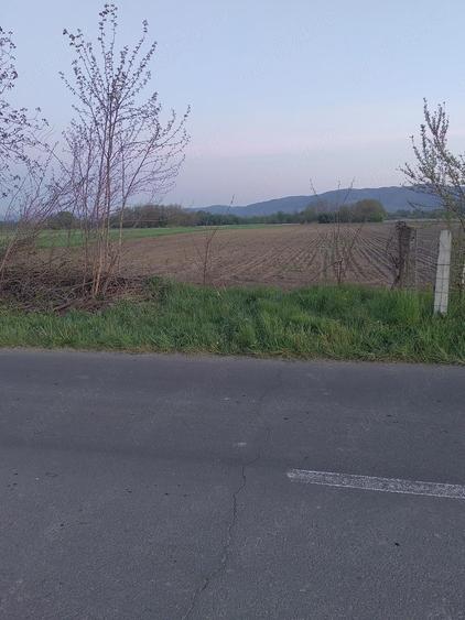 Teren de 5700 mp, în Reea