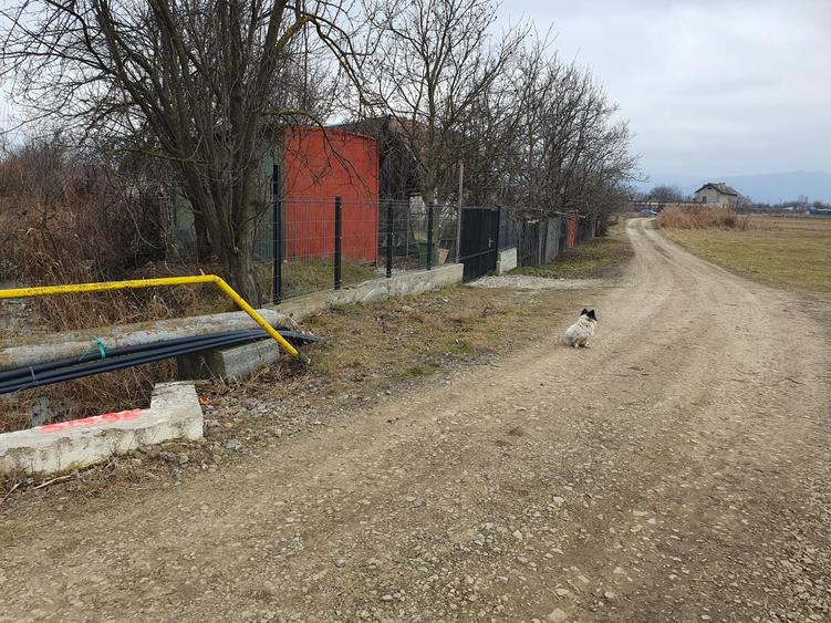 Teren agricol intravilan de 480 mp, în Stupini