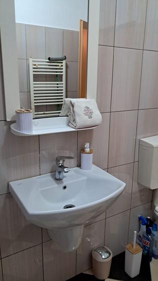 Apartament cu 2 camere semidecomandat în Iacobeni
