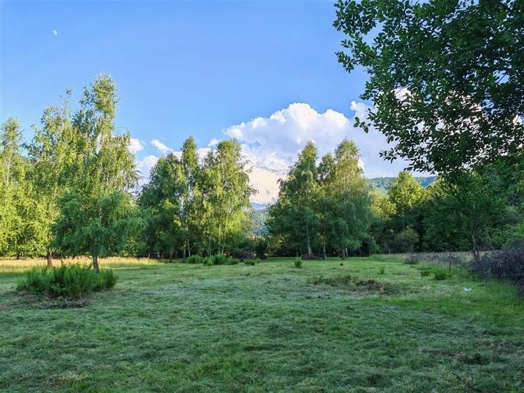 Teren Construcții extravilan de 1800 mp, în Dejani