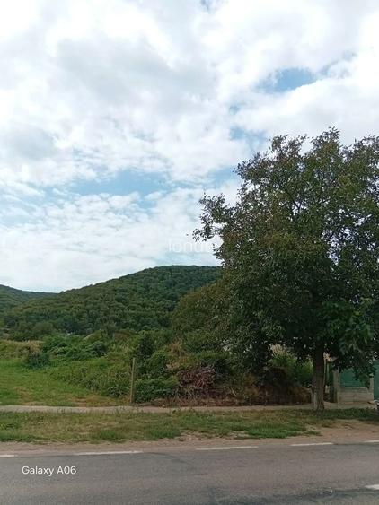 Vand teren 990 metri patrati