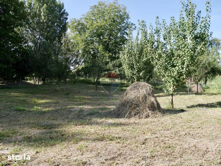 Casă cu 2 camere cu Teren 3003 Mp în Vințu de Jos