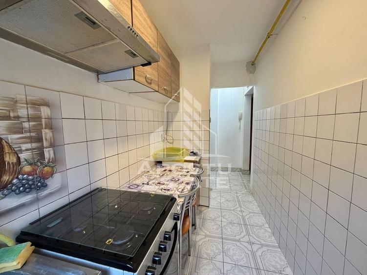 Apartament cu 2 camere semidecomandat, mobilat în Șagului