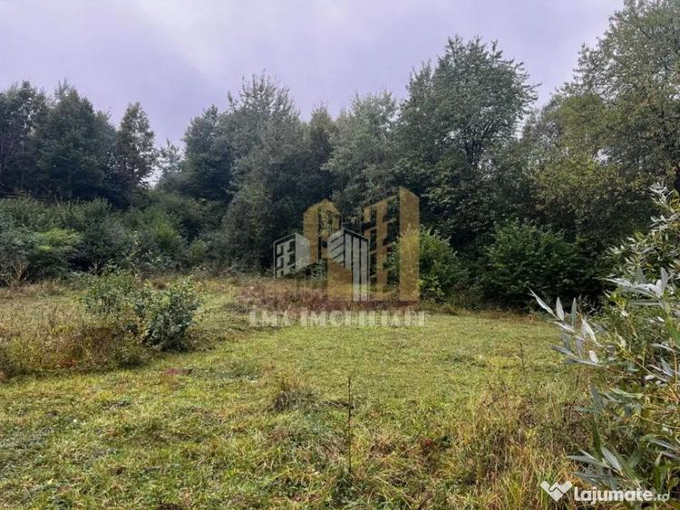 Teren de 1955 mp, în Șinca