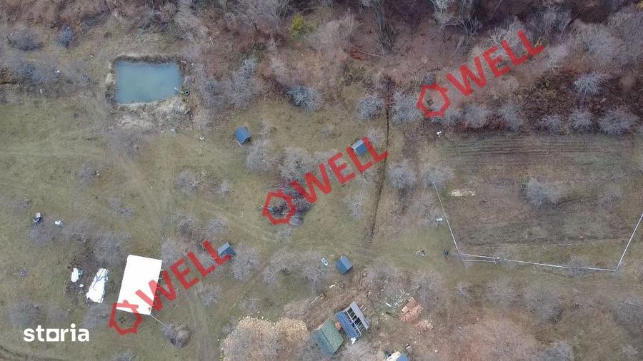 Teren extravilan de 25.274 m2 de vanzare in Calnic, langa padure! - 8