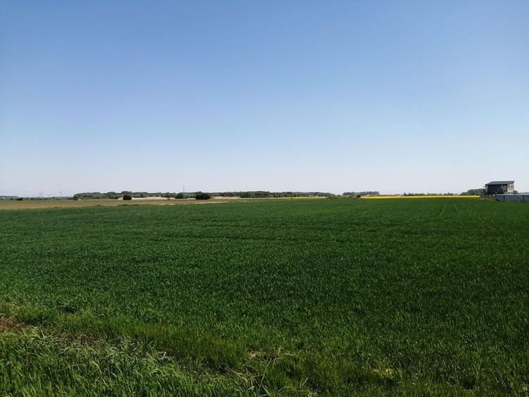 Teren agricol intravilan de 5114 mp, în 1 Decembrie
