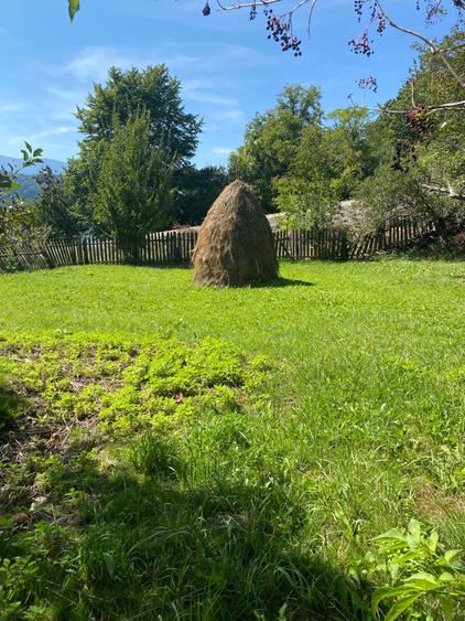 Teren de 11541 mp, în Buhalnița