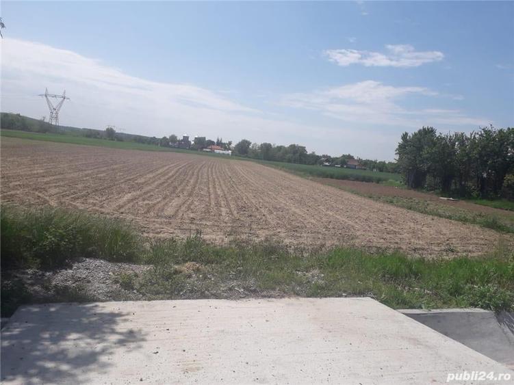 Teren de 5013 mp, în Galicea
