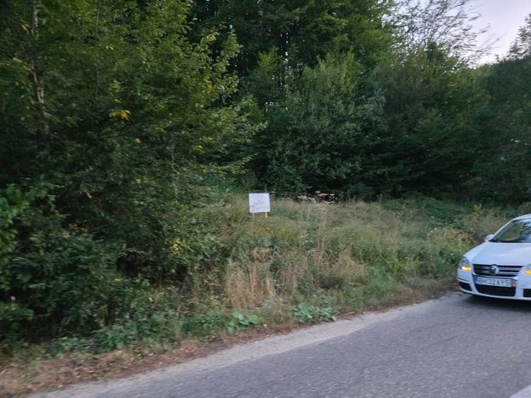 Spațiu comercial, în Pădurea Neagră