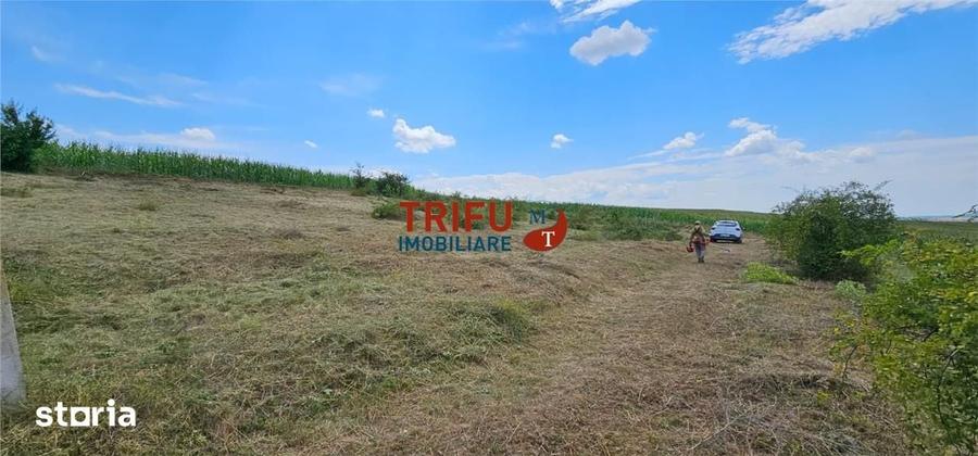 Teren de 500 mp, în Ciugud