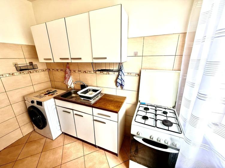 Titan, Theodor Pallady, Nicolae Grigorescu metrou - 15